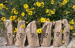 6-Bottle Mystery Bundle #1